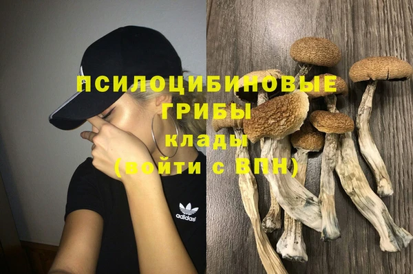 дмт Богородицк